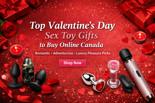 Valentine’s Day Sex Toy Gifts
