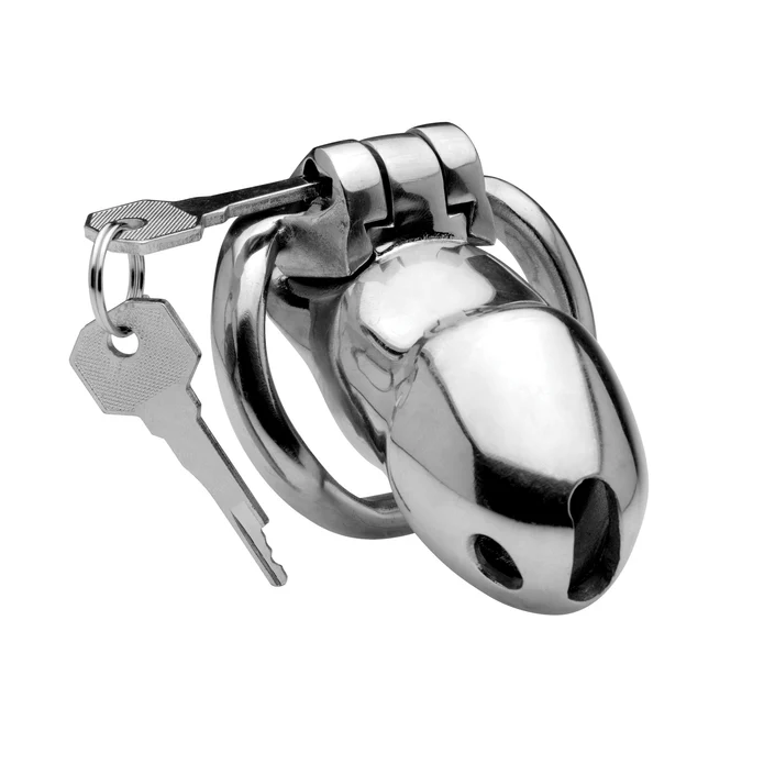 Rikers Stainless Lockng Chastity Cage