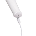 Le Wand Classique Cordless Petite Rechargeable Vibrating Massager