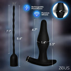 Inflatable Anal Plug & Urethral Sound E-Stim Kit w/remote