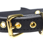 Golden Kitty Cat Bell Collar -Black/Gold