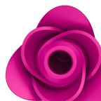 Pro 2 Modern Blossom