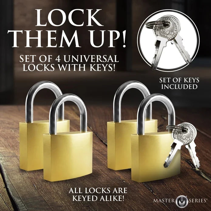 4 Pack Lock Set