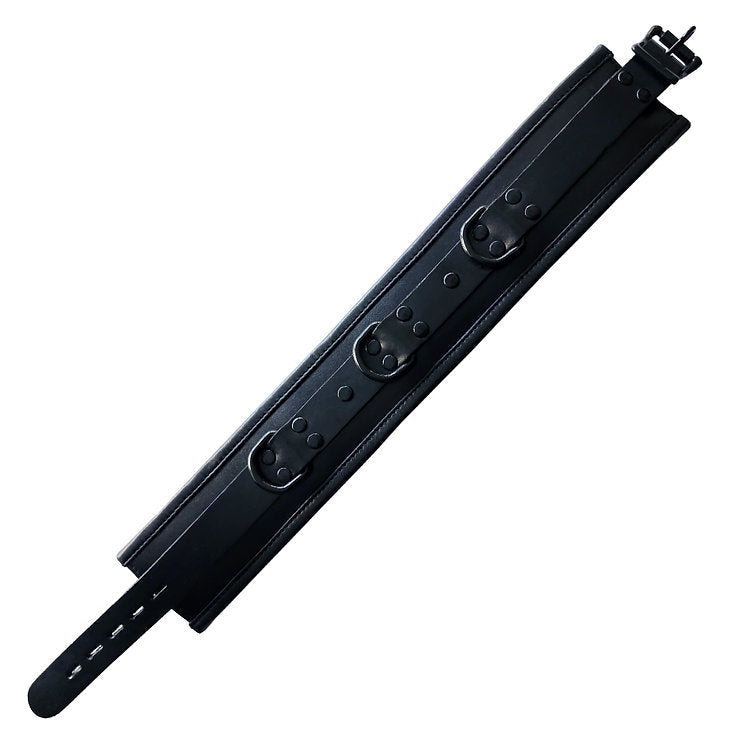 Leather Padded Collar - Black with Black