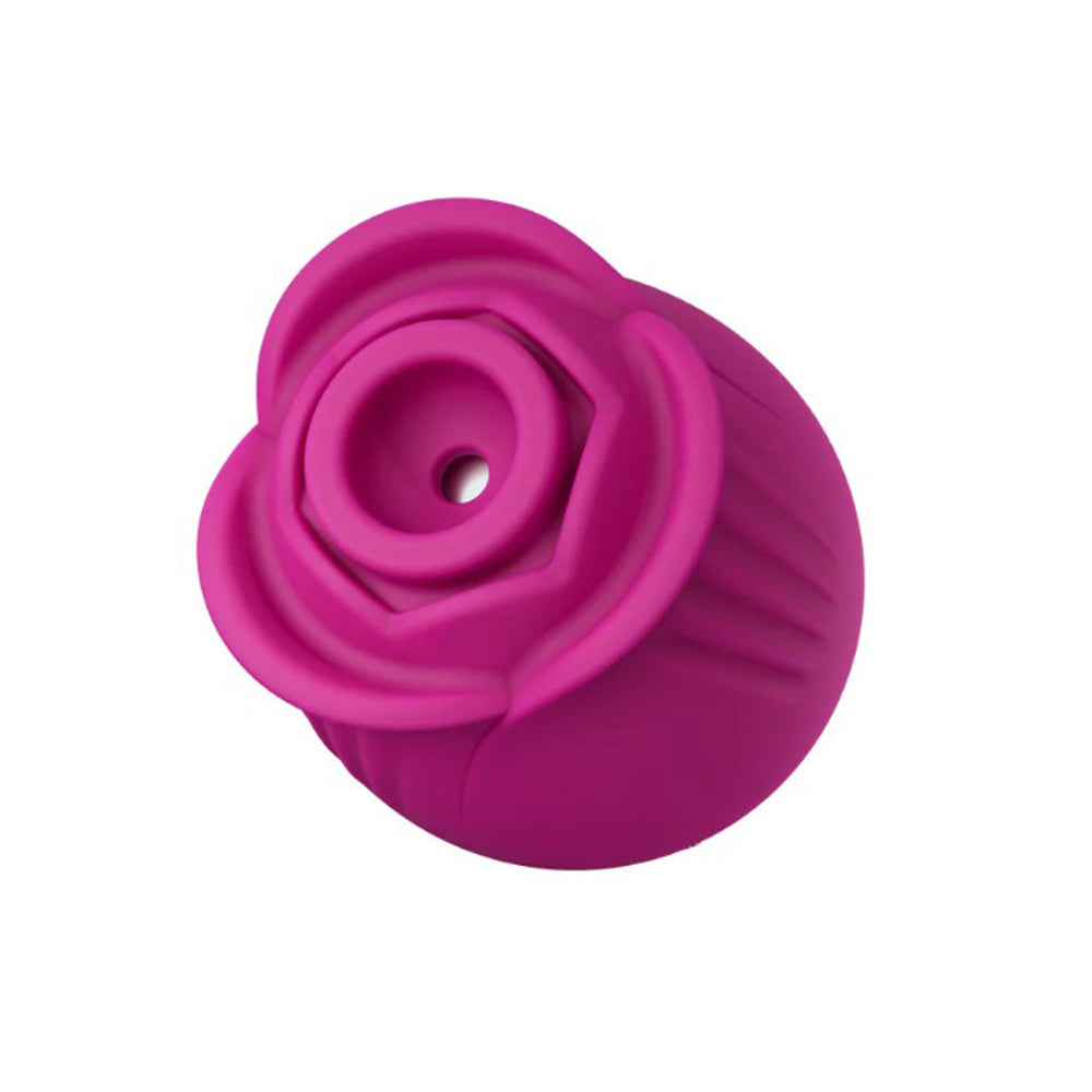 Blush Collection The Original Blush Rose