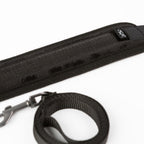 SEI MIO Take the Lead Padded Collar/Leas