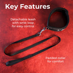 SEI MIO Take the Lead Padded Collar/Leas