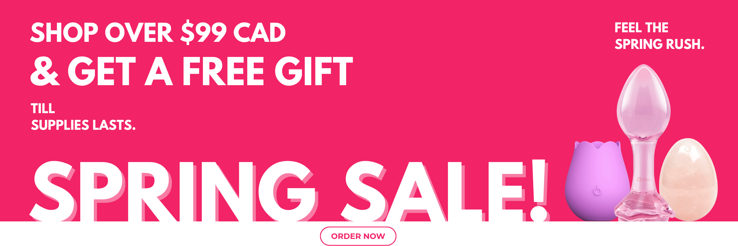 Promotional Banner