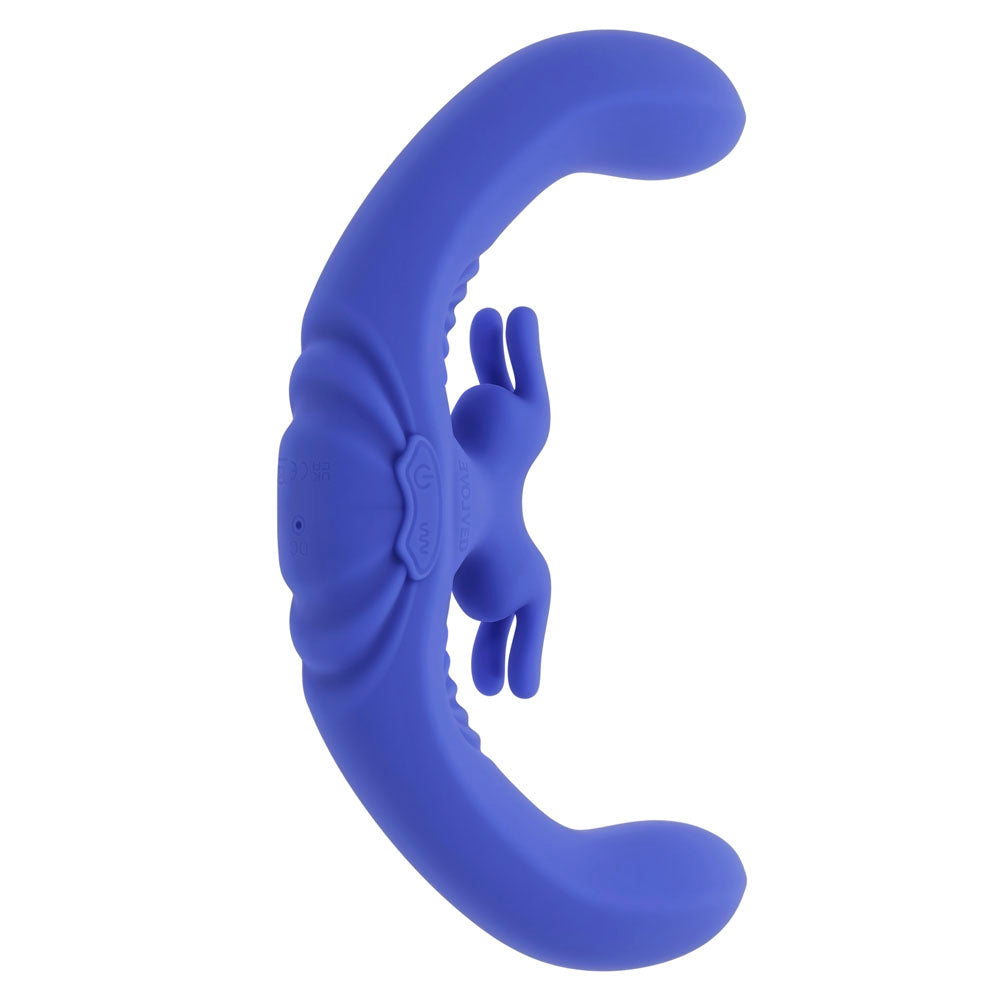 Evolved Lovebirds remote control