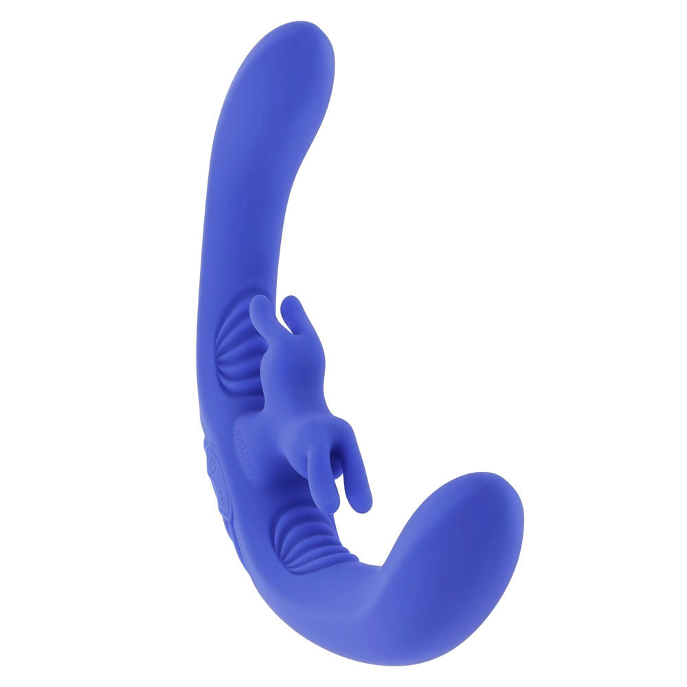Evolved Lovebirds remote control