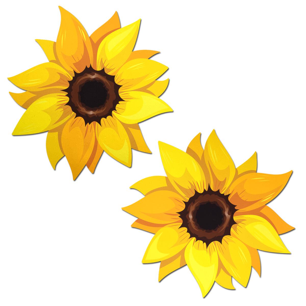 Sunflower Pasties