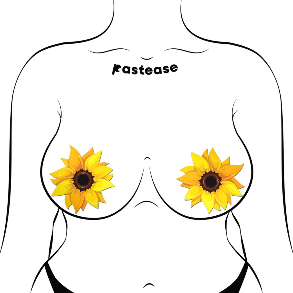 Sunflower Pasties