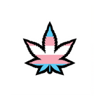 Enamel Pin: Trans Weed Leaf