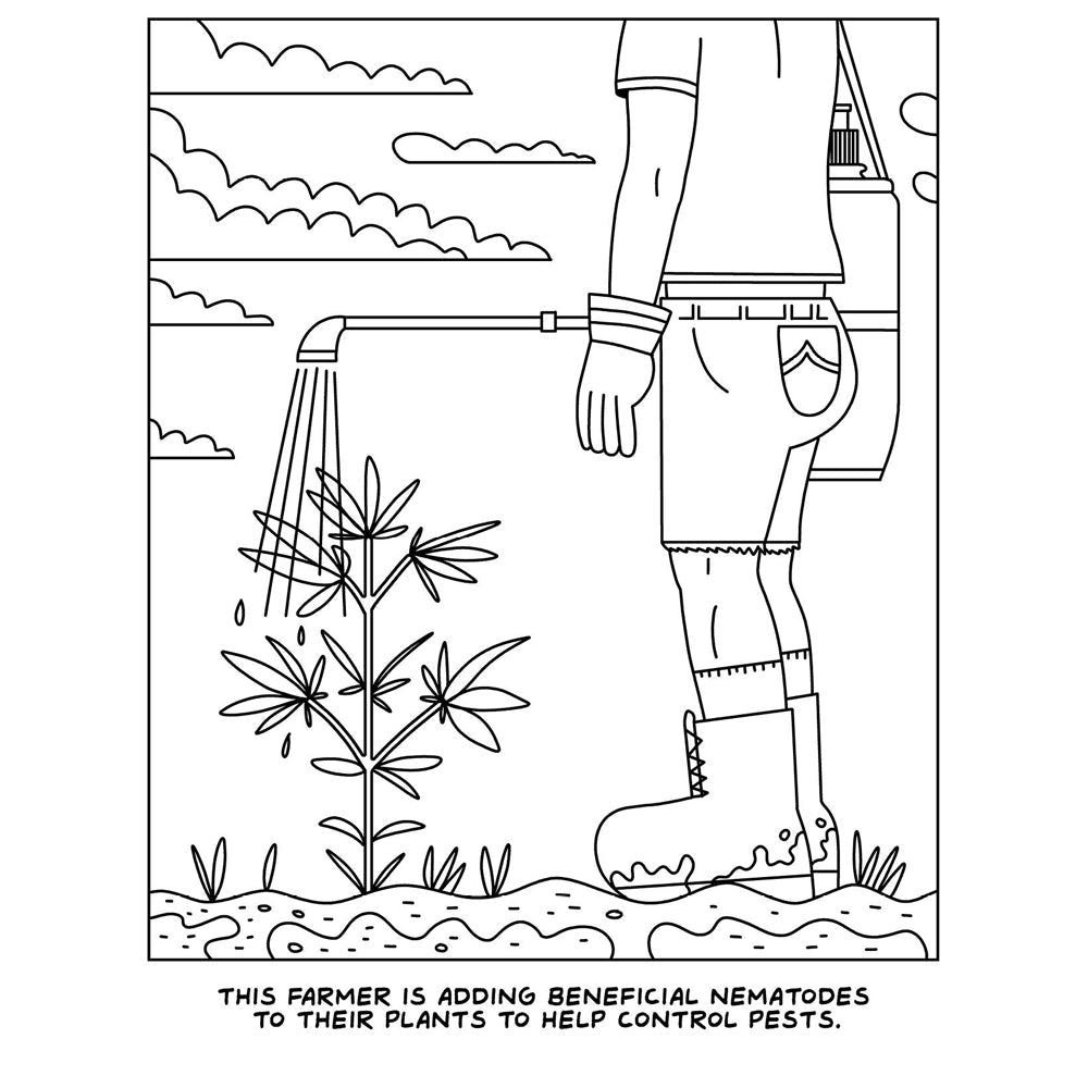 Visit to the Canabis Farm Colouring Book *