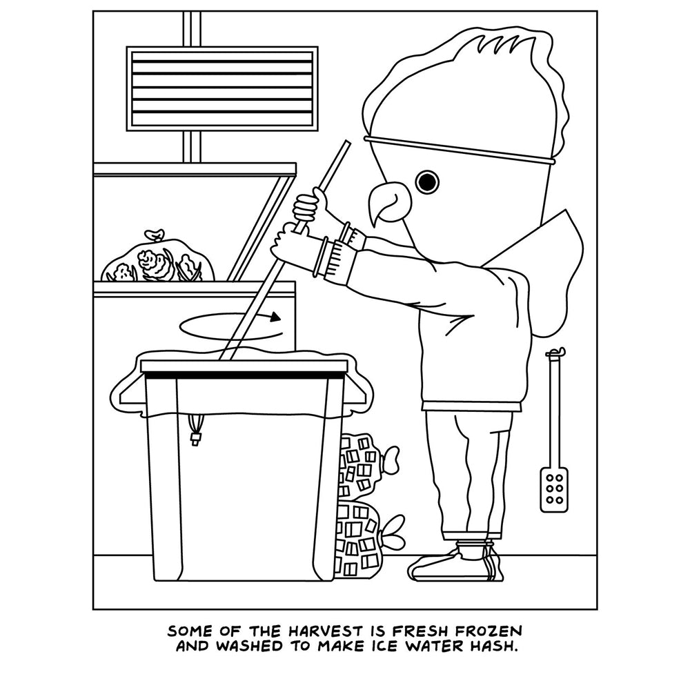 Visit to the Canabis Farm Colouring Book *