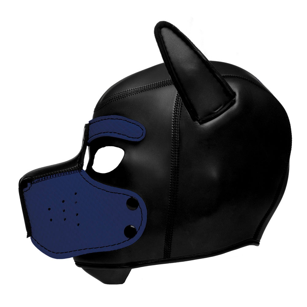 Spike Neoprene Puppy Hood - Blue