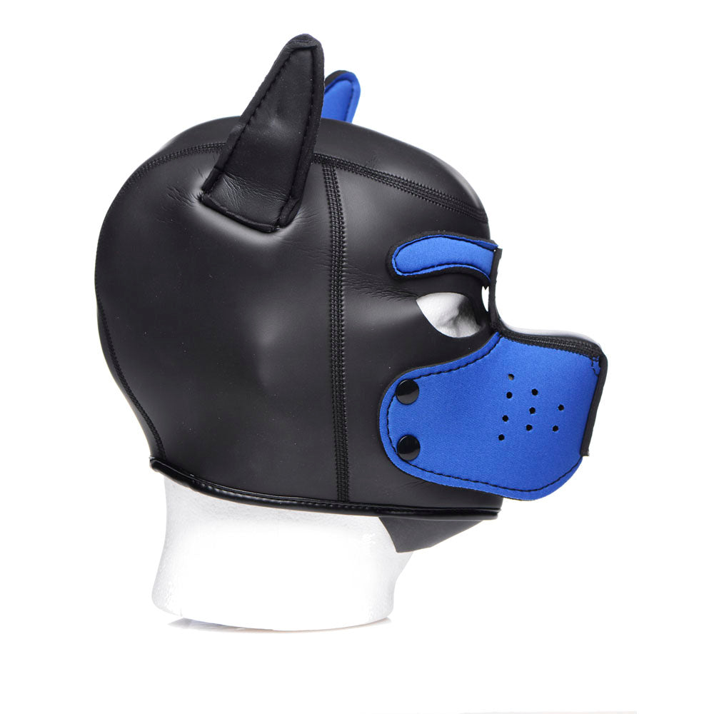 Spike Neoprene Puppy Hood - Blue