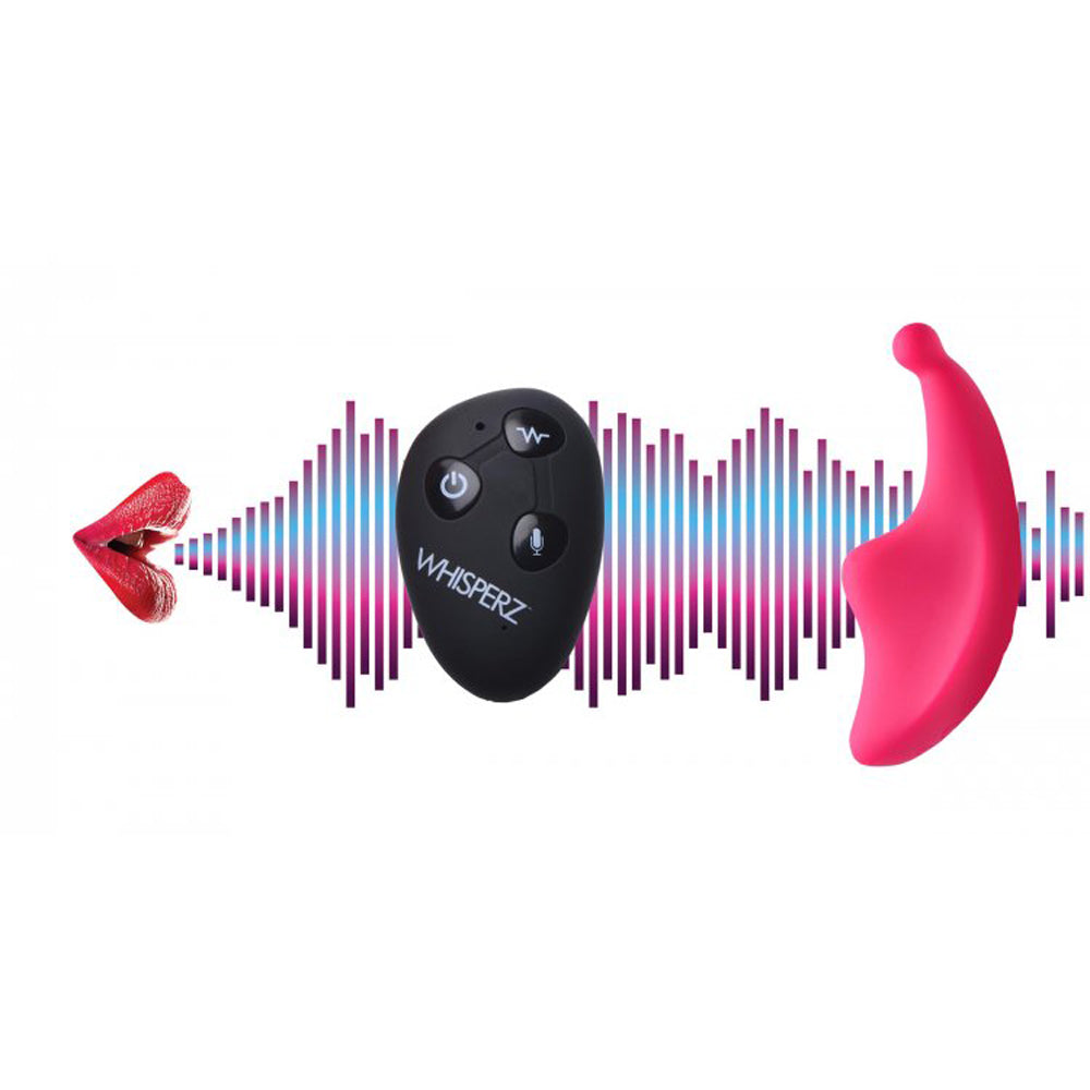 Voice Activated 10X Panty Vibe w R/C *