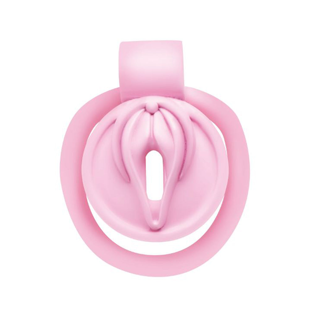 Pussification Chastity Cock Cage