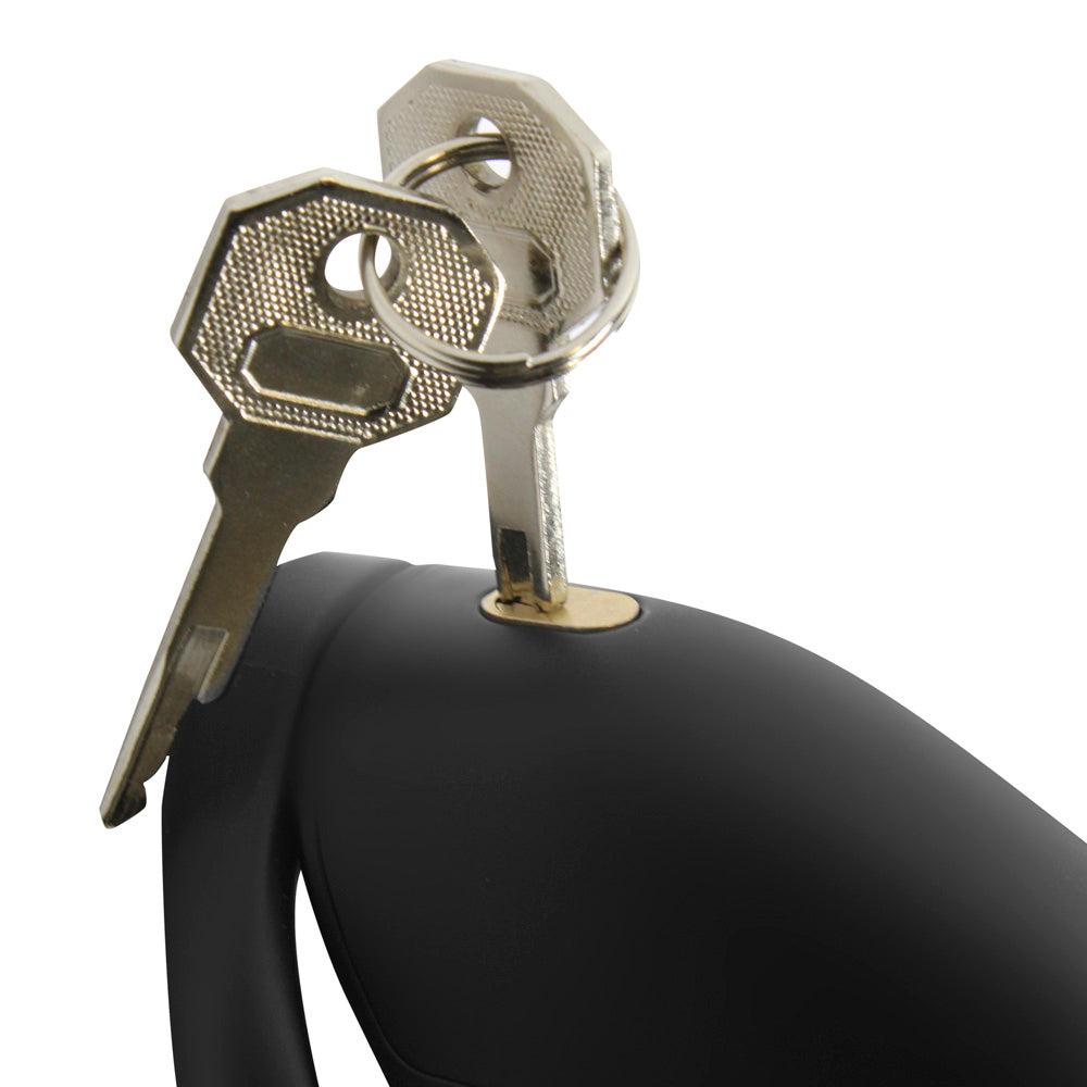 Captor Chastity Cage
