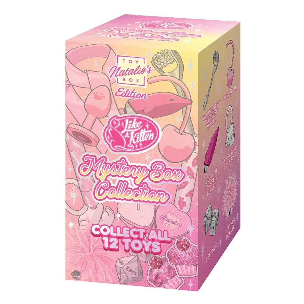Mystery Box 12 Pc. Display – Natalie’s Toy Box Edition