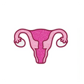 Enamel Pin: Uterus - Sparkly Pink *